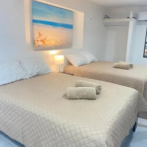 departamento-gaviota.allrivieramayahotels.com/